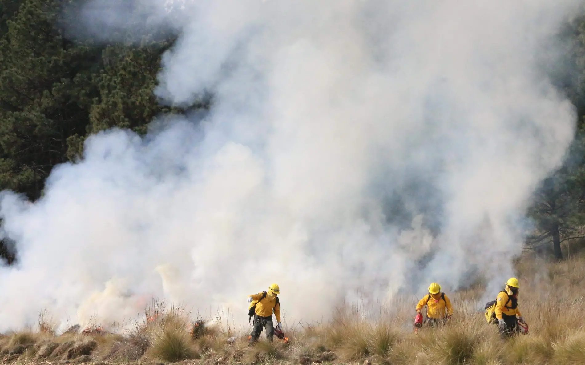 Incendios forestales